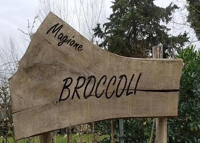 Magione Broccoli Bed & Breakfast